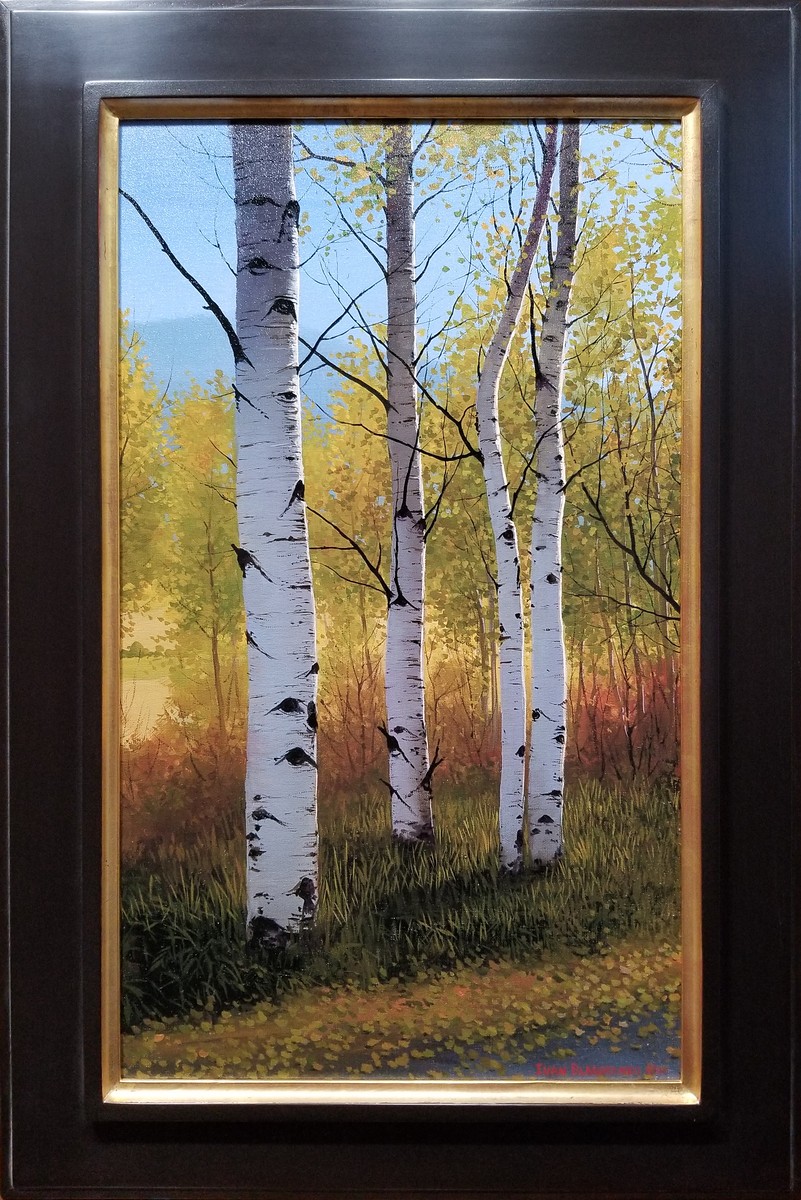 Autumn aspens with sunlight shining through