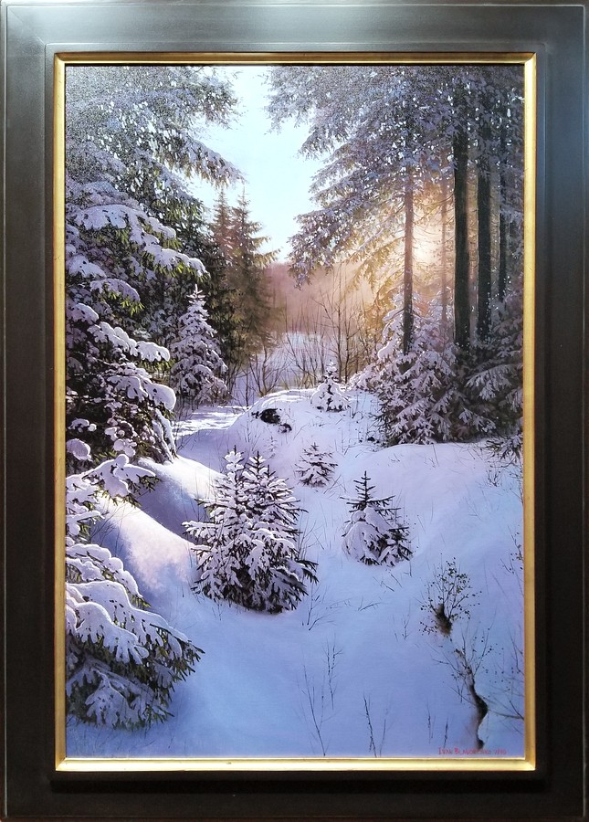 Winter forest with sunshine