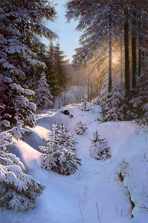Winter forest with sunshine