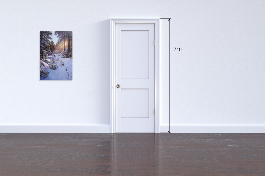 Winter forest with sunshine