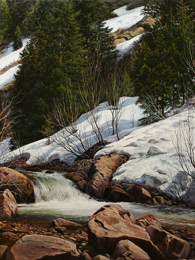 Spring landscape at the bottom of a mountain with water runoff