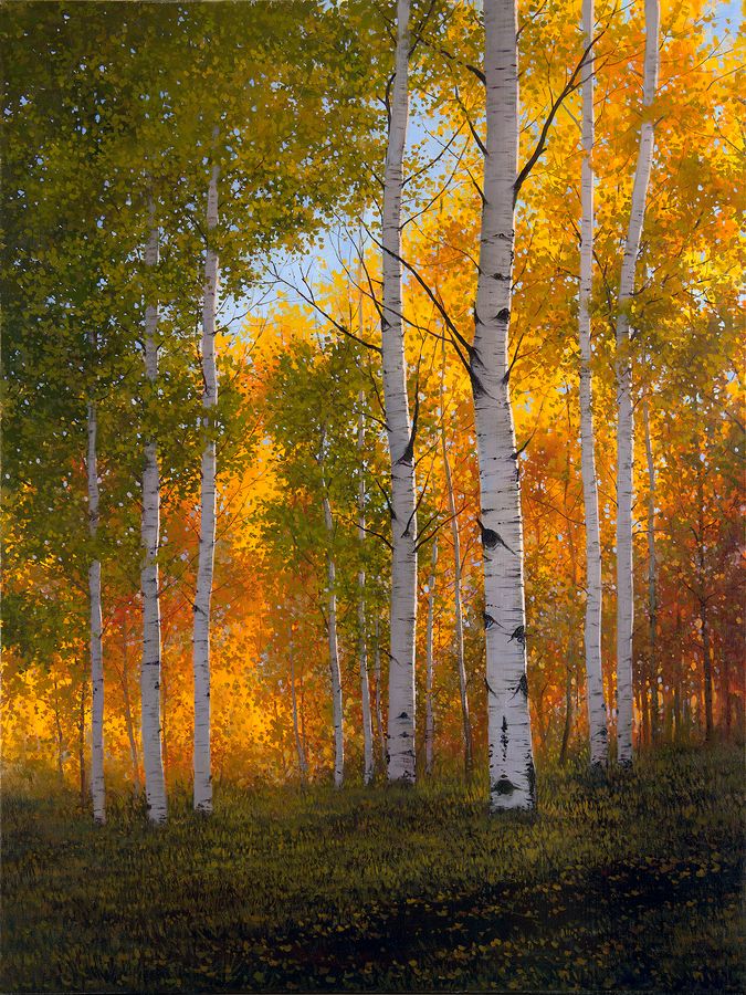 Fall aspens with sunshine in the background