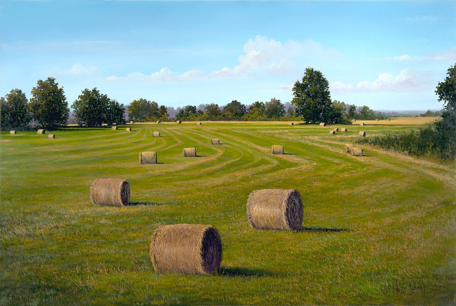 Hay bales on a freshly cut field