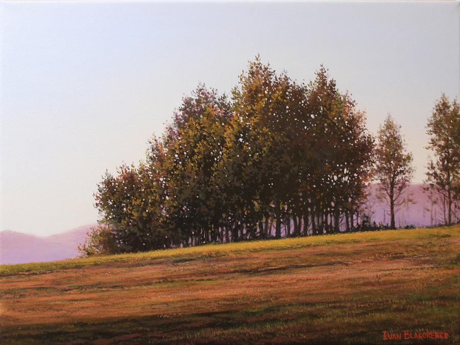 Autumn trees on a hill
