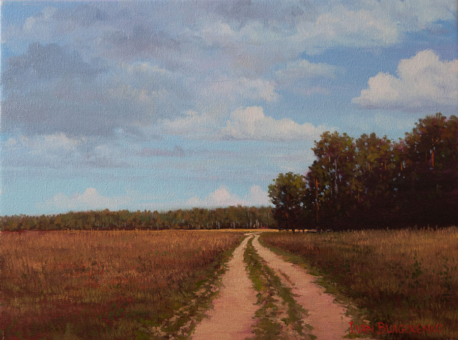 Road in the field
