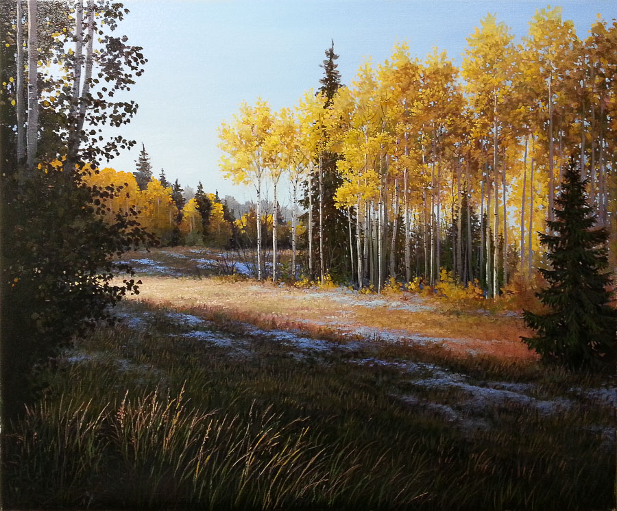 Late fall landscape with aspens and a touch of sunshine