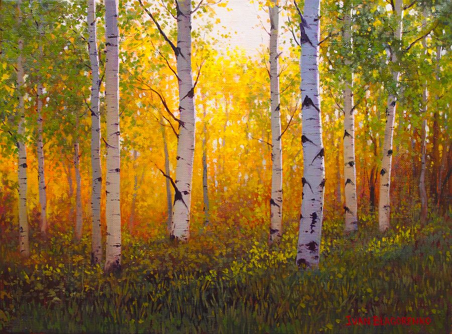 Fall aspens