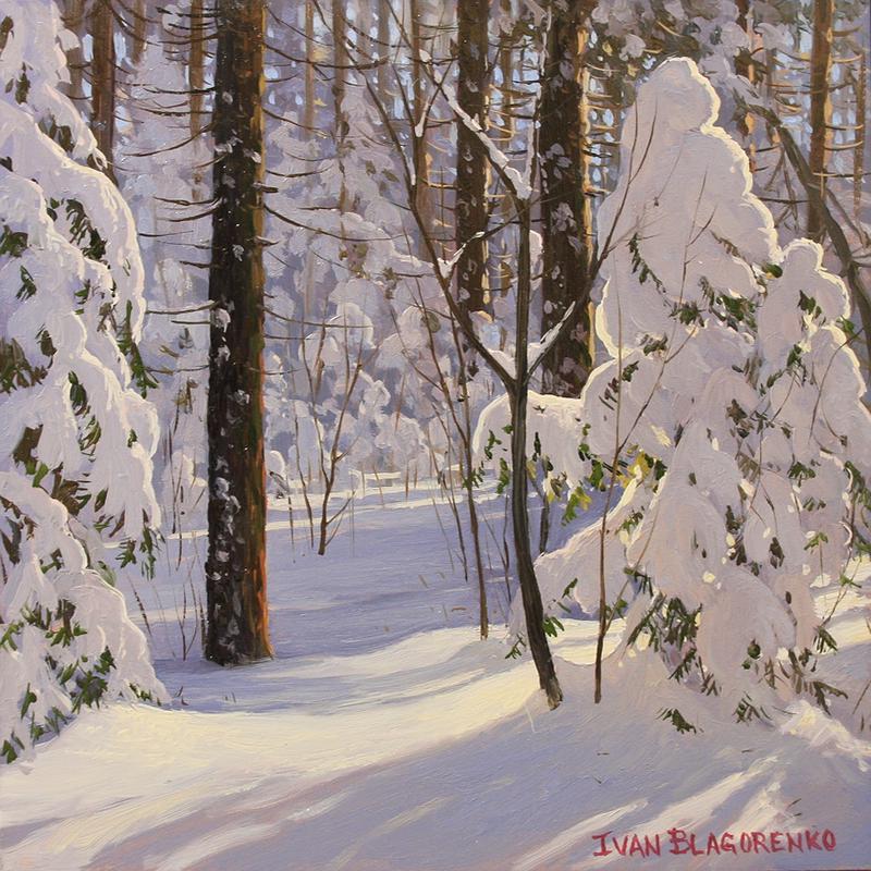 Winter view of the pine forest with shadows