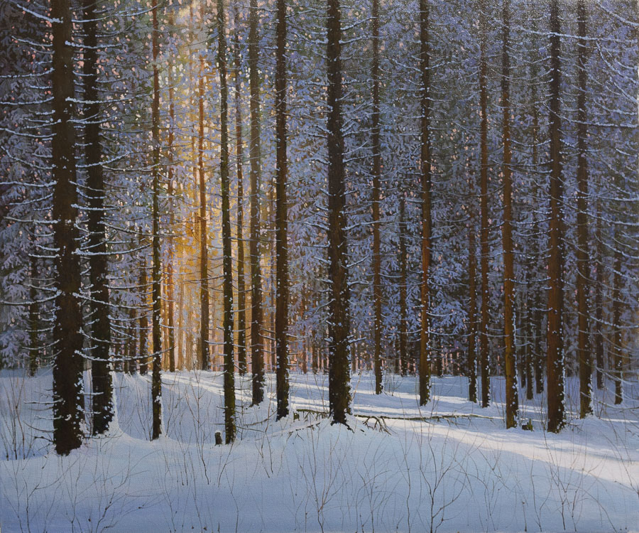 Calm winter forest with sunshine peeking through trees