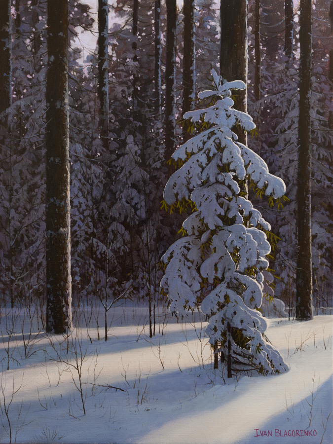 Winter forest with sunshine