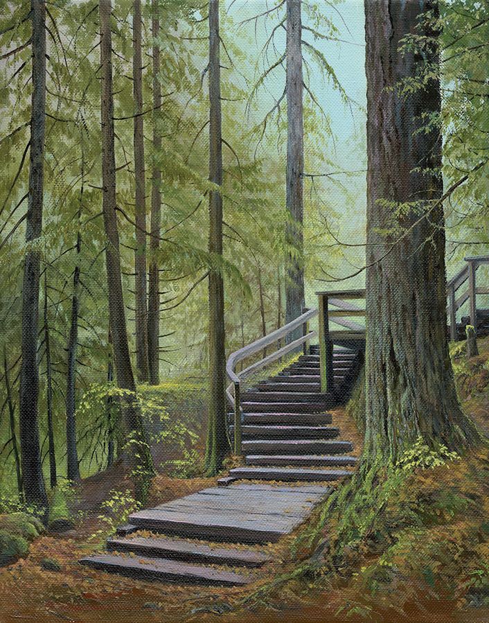 Stairway in the forest