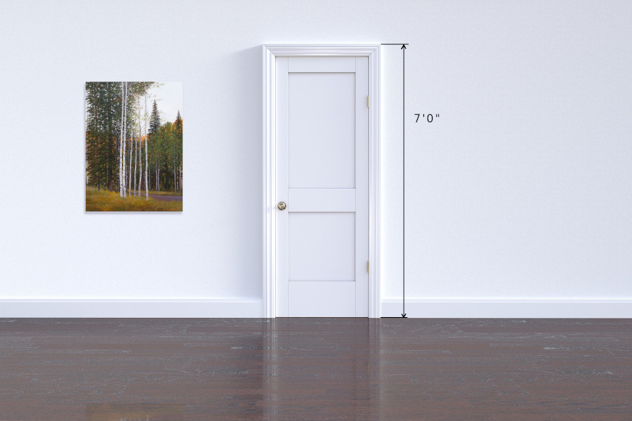 Aspens and pine trees with sunlight in the background