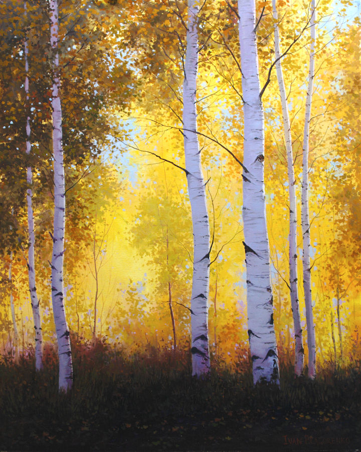 Autumn aspen trees with sunlight in the background