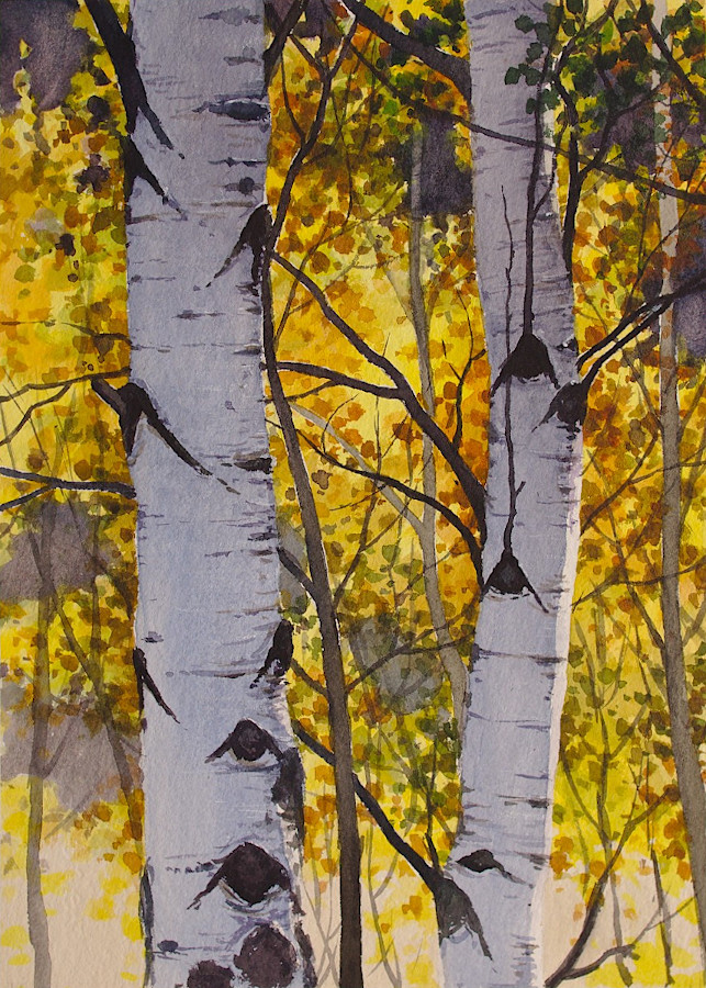 Aspens with fall colors in the background