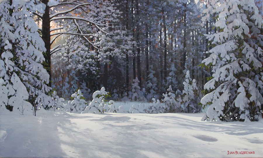 Winter forest with sunlight