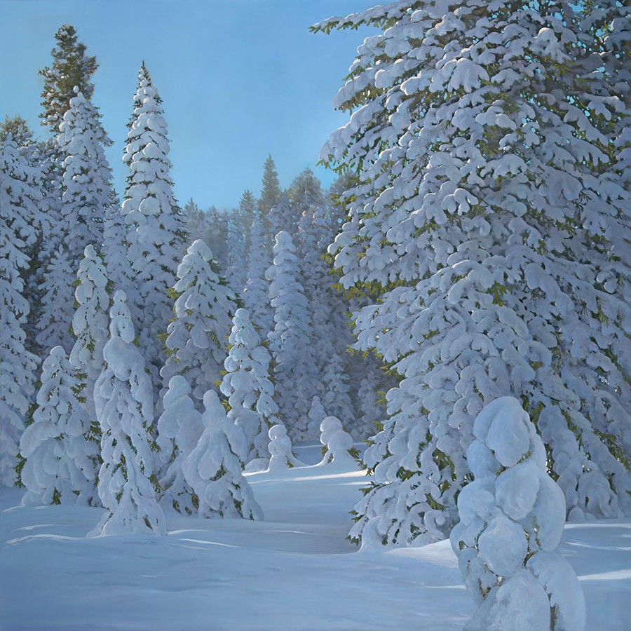 snowy forest