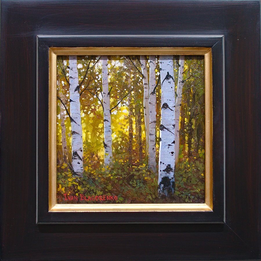 Fall aspen threes in yellow surrounding