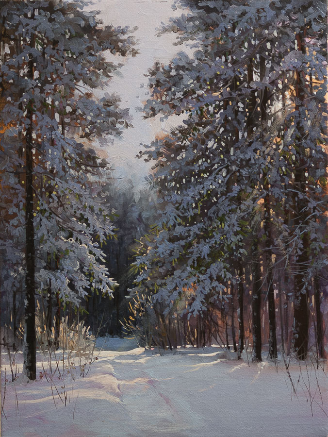 Winter forest with a pathway through the trees
