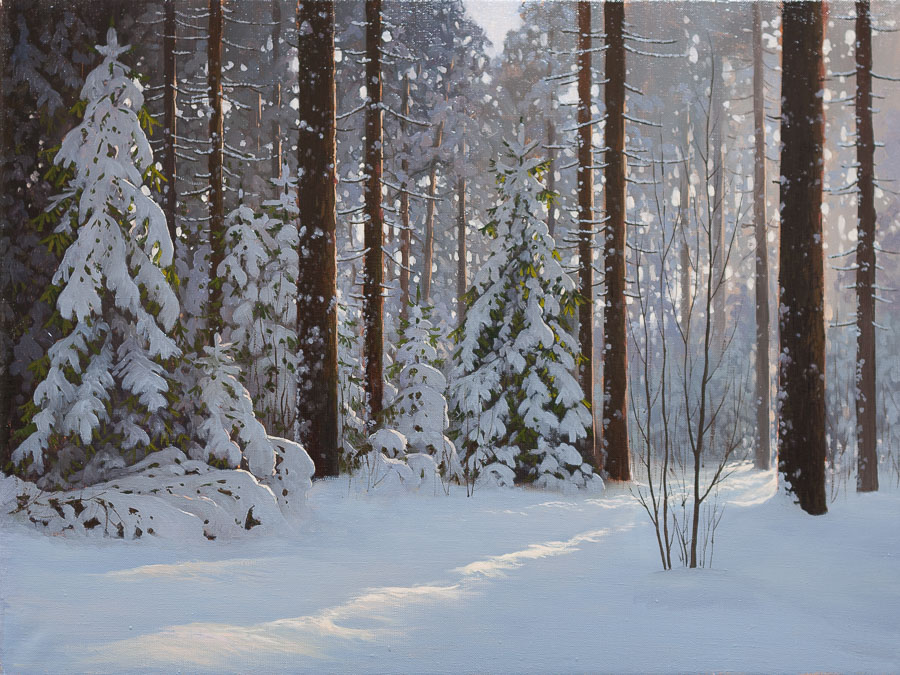 Winter forest landscape with sunshine