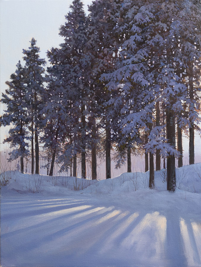 Dramatic shadows in a winter landscape