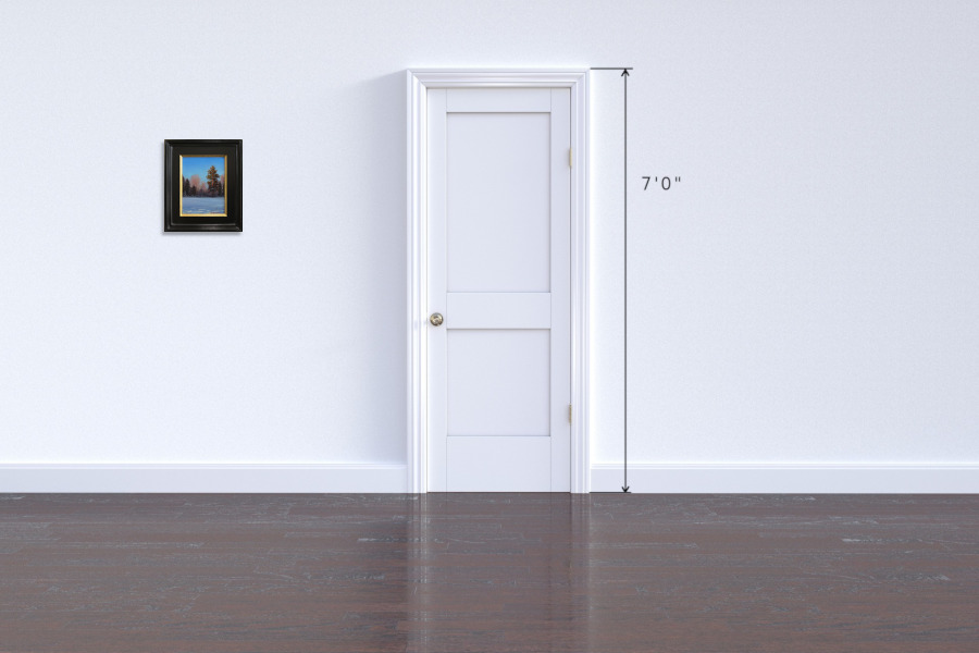 Pine tree lit by the sun on a winter day