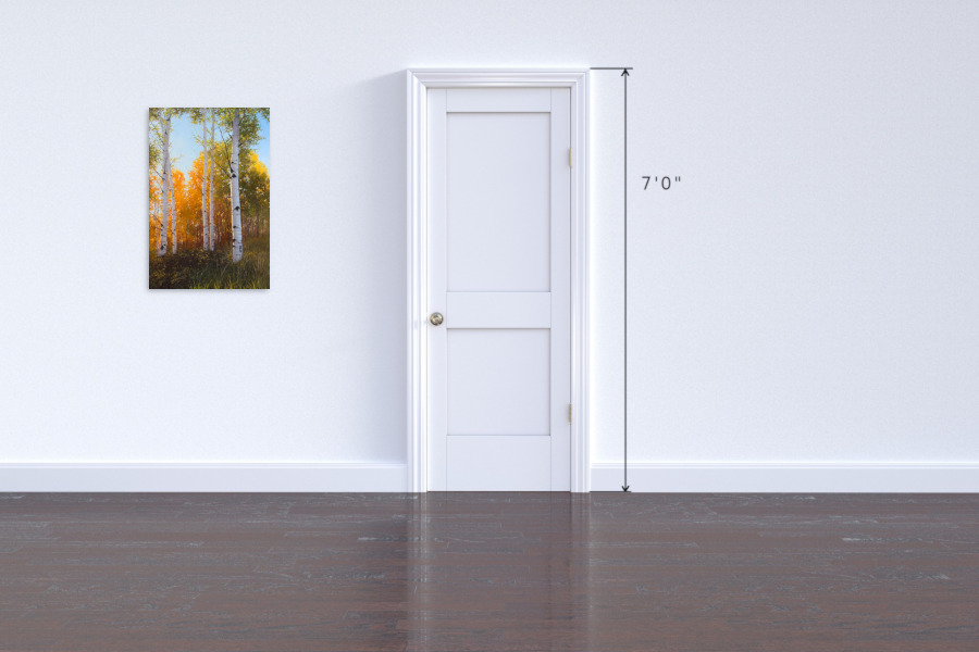 aspens with sun shining through background