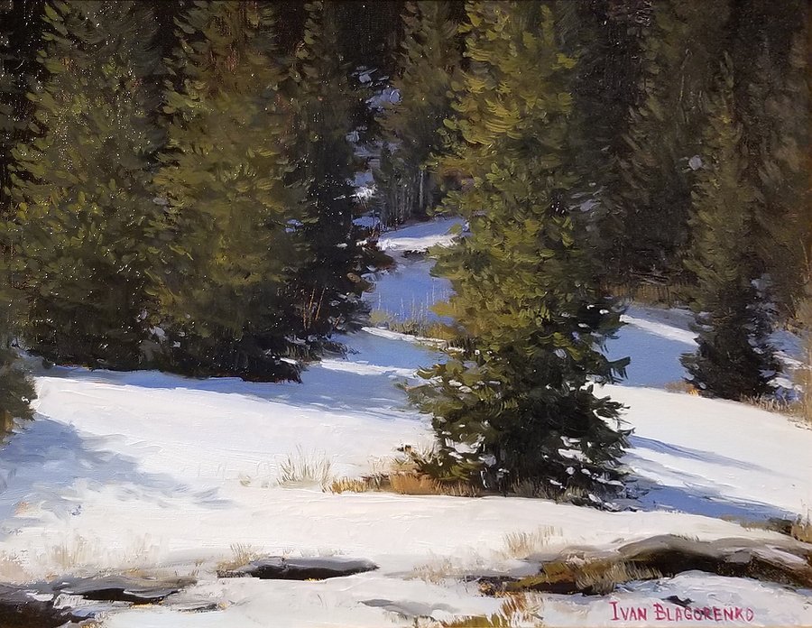 Pine trees casting shadows onto the snow