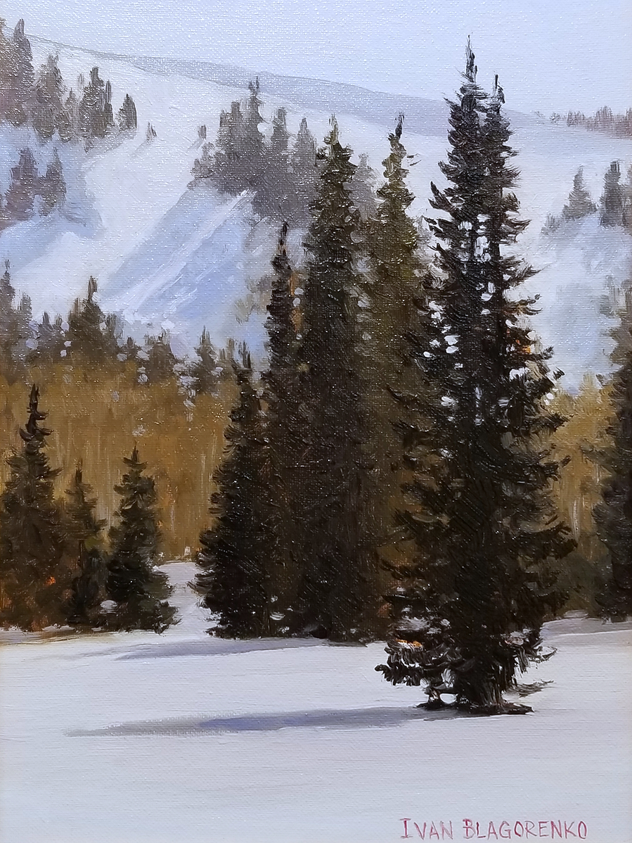 Winter sunlight over the mountain with pine trees in the foreground